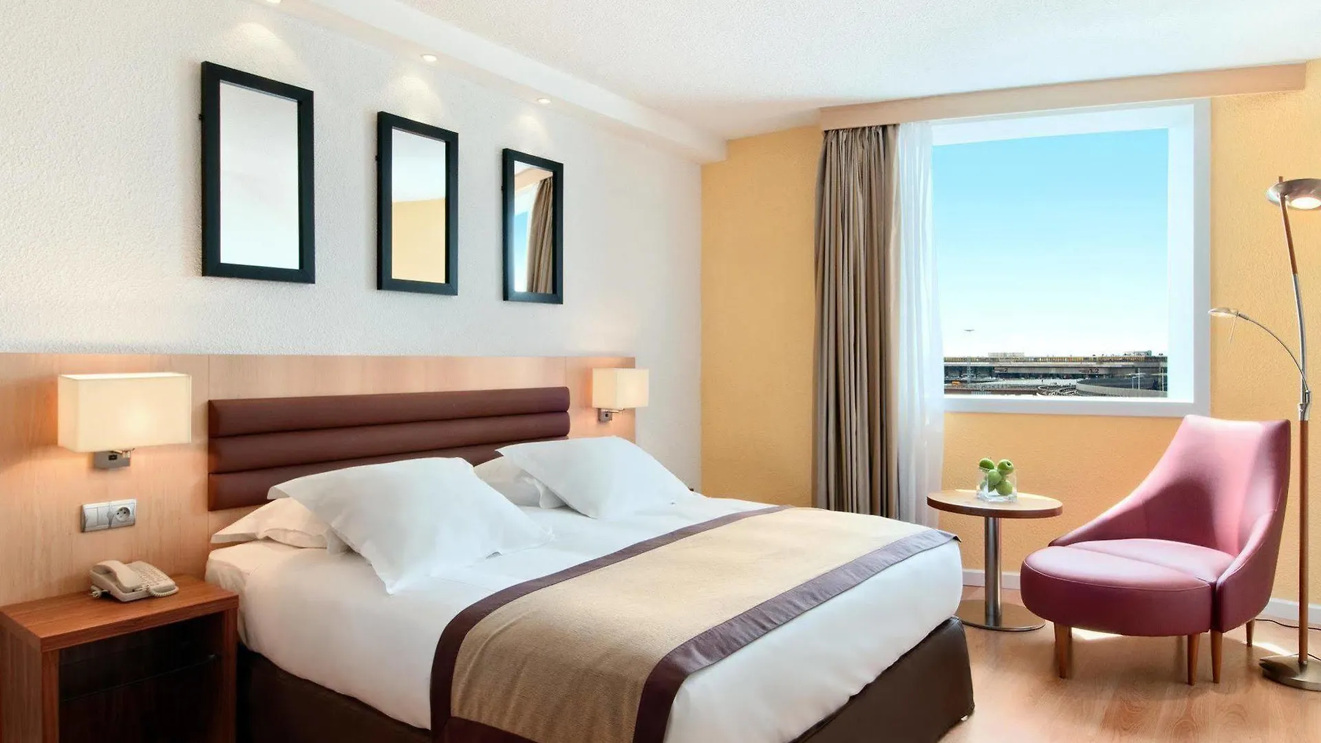 Hilton Orly Airport 巴黎